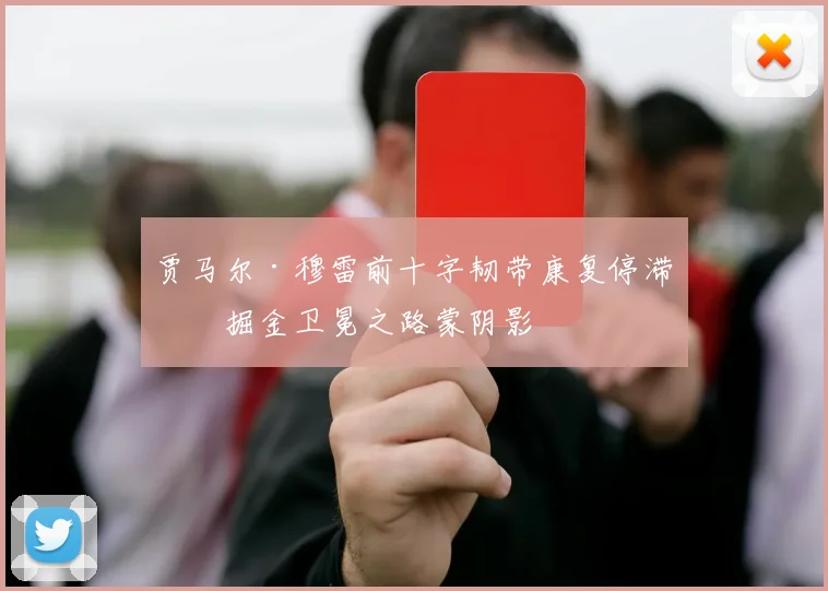 贾马尔·穆雷前十字韧带康复停滞,掘金卫冕之路蒙阴影